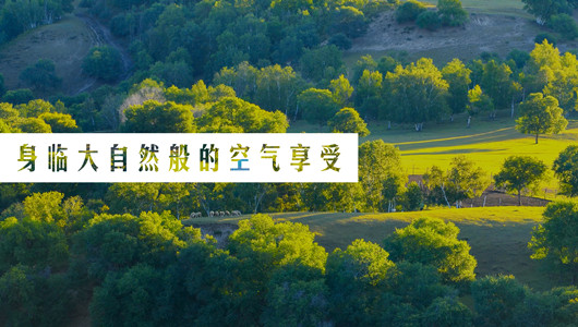 技術能力強