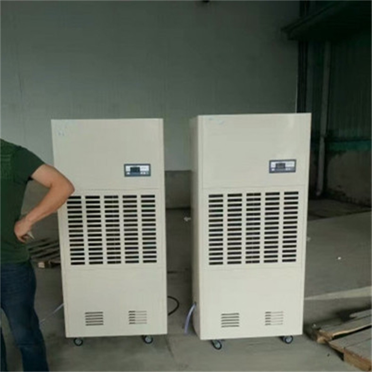 專業成就王道：除濕機企業的發展方向