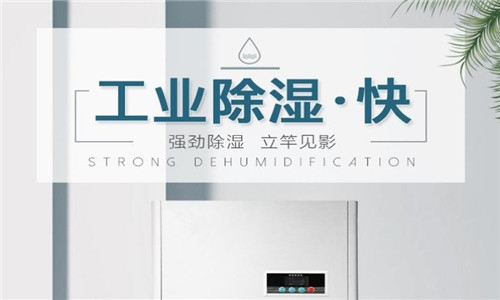 除濕機那個牌子好一點