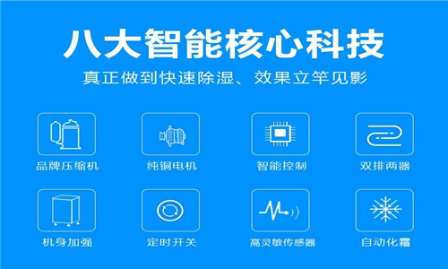 東西掉進除濕機里怎么辦