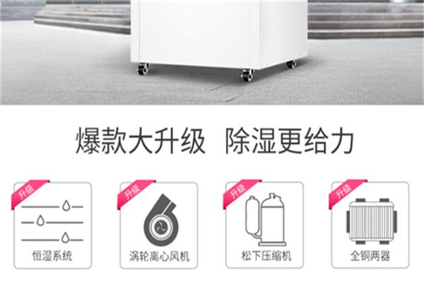 1000平木材庫房除濕機選型