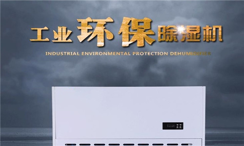檔案庫房購買強(qiáng)勁除濕機(jī)的重要性