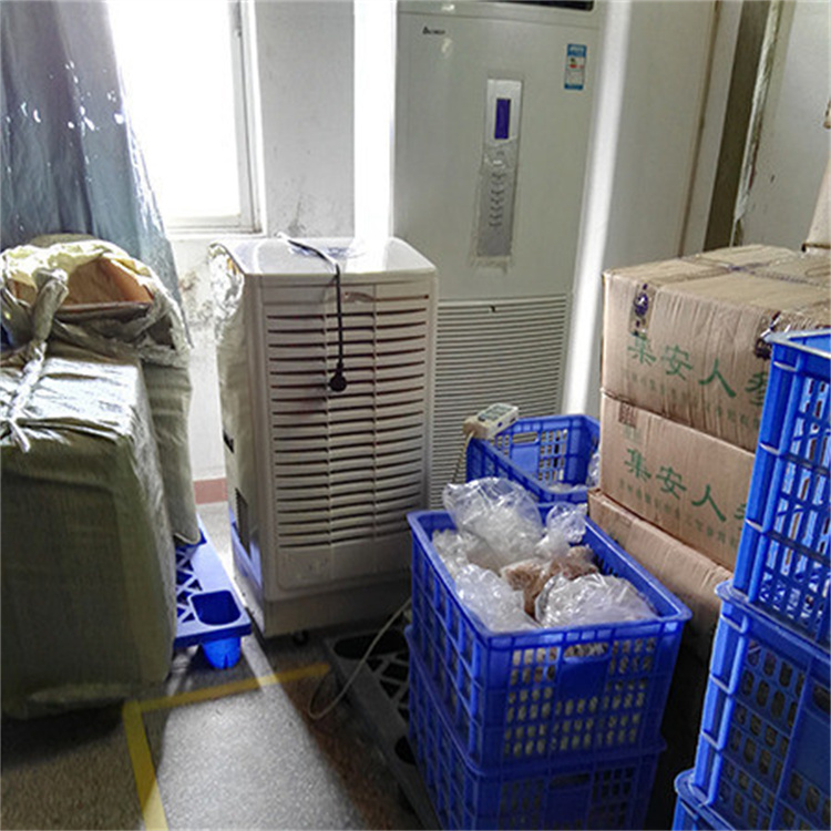 專業地下室除濕機：高效去潮防霉，告別潮濕霉味