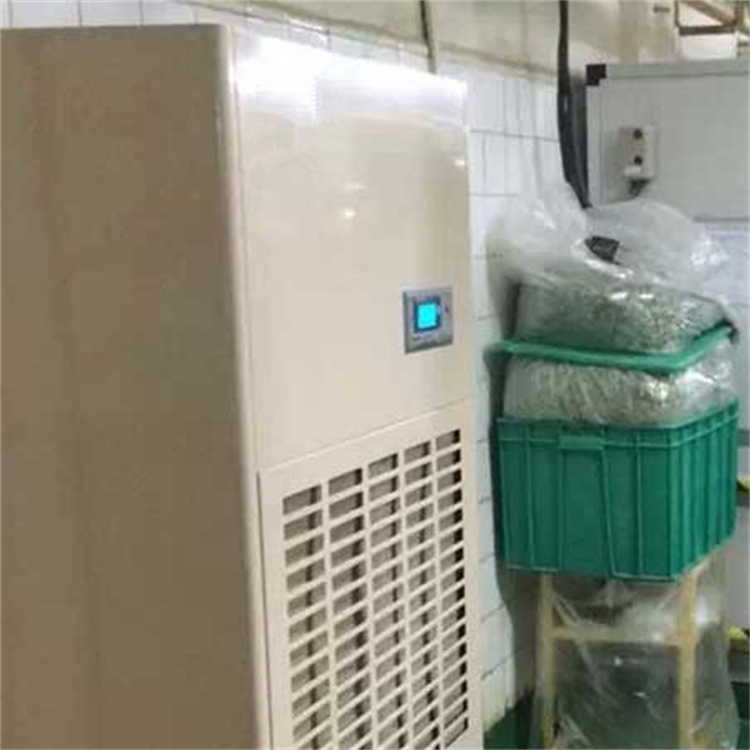 精密車間CGTZF10風冷冷風型管道調溫除濕機