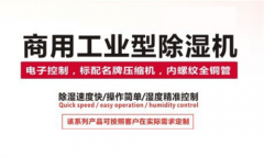 新風吊頂除濕機，吊頂式新風除濕凈化一體機