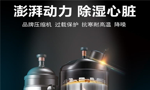 造紙車間除潮機_造紙庫房除潮機_工業除潮機品牌價